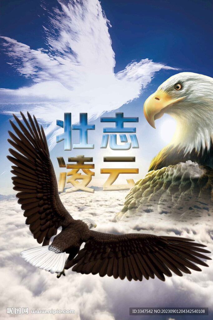兵临城下不慌张,壮志凌云报家国生肖是什么,警惕虚假宣传落实,实证解答解释落实