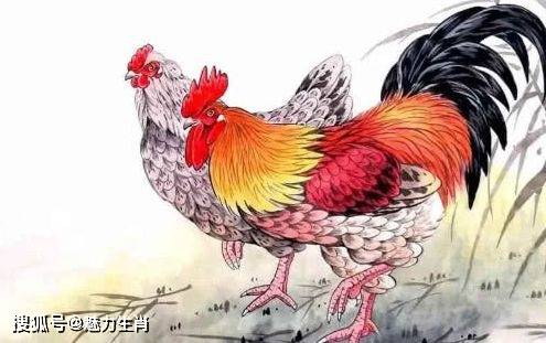 大露头角打一最佳生肖、警惕虚假宣传-全面释义、深度解答解释落实