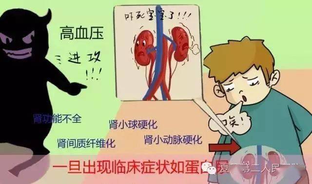 一线牵著万线缕，红云飘影千秋歌打一准确生肖与警惕虚假宣传-全面释义、专家解答解释落实