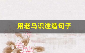 冬天寒冷痛入骨，老马识途有经验打一最佳生肖详细解答、统计解答解释落实